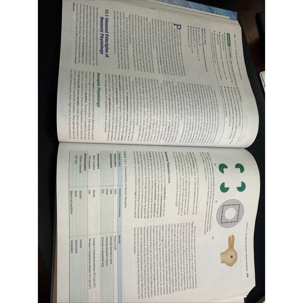 Principles of Human Physiology by Cindy L. Stanfield (2019, Hardcover)